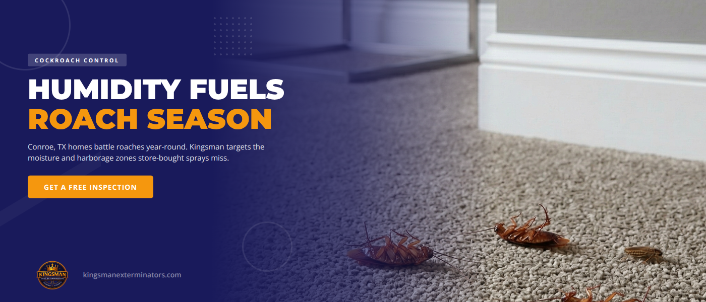 How Gulf Coast Humidity Drives Cockroach Infestations in Conroe, TX Homes | Kingsman Pest