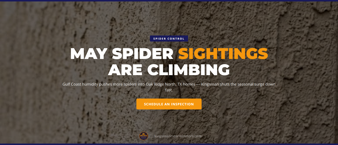 Why May Brings More Spider Sightings to Oak Ridge North, TX Homes | Kingsman Pest