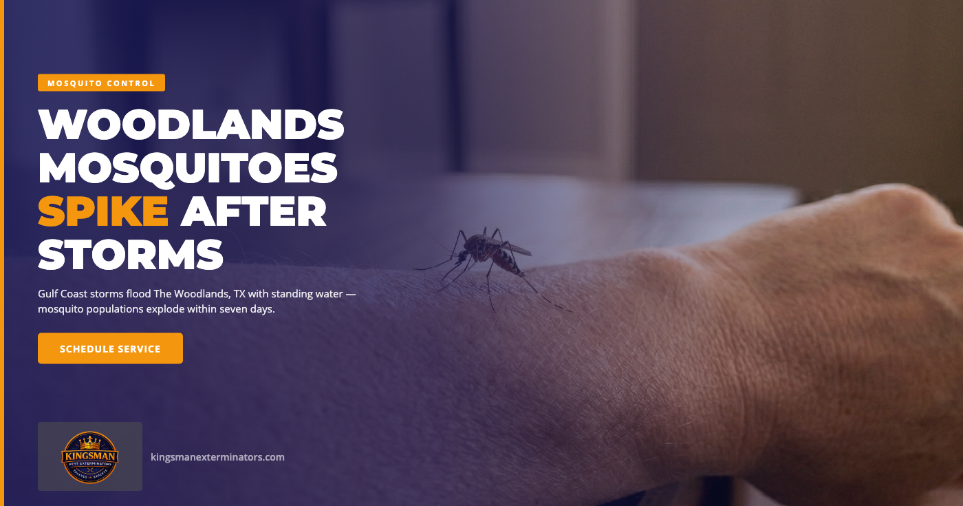 How Standing Water After Gulf Coast Storms Creates Mosquito Problems in The Woodlands, TX