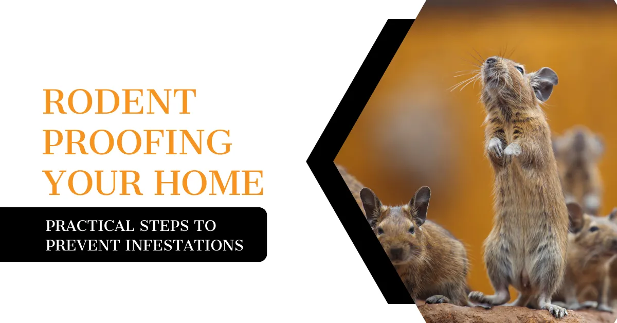 Rodent Proofing Your Home | Kingsman Pest