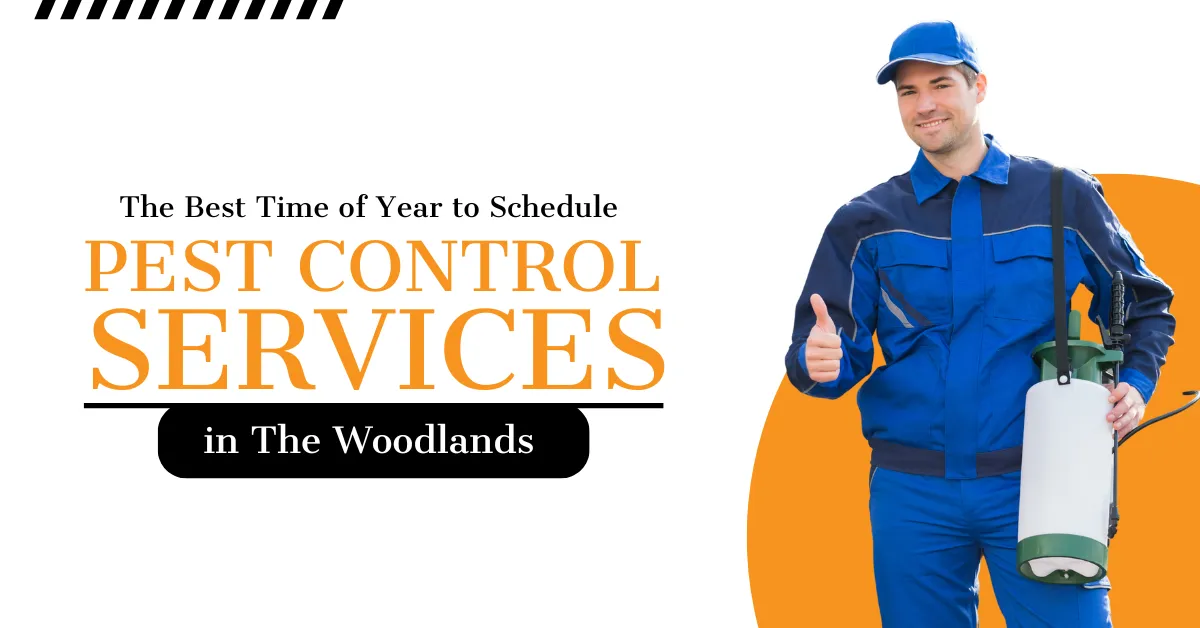 Best Time to Schedule Pest Control | Kingsman Pest