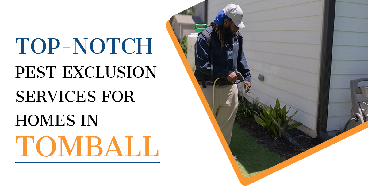 Pest Exclusion Services in Tomball | Kingsman Pest