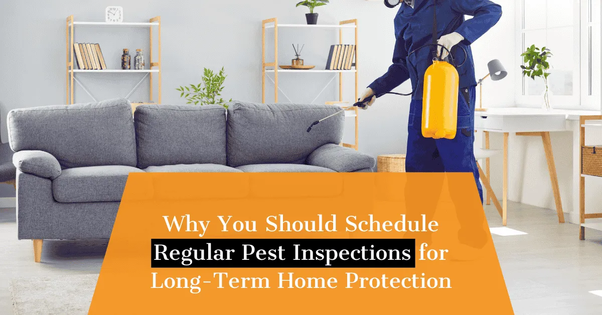 Regular Pest Inspections for Your Home | Kingsman Pest