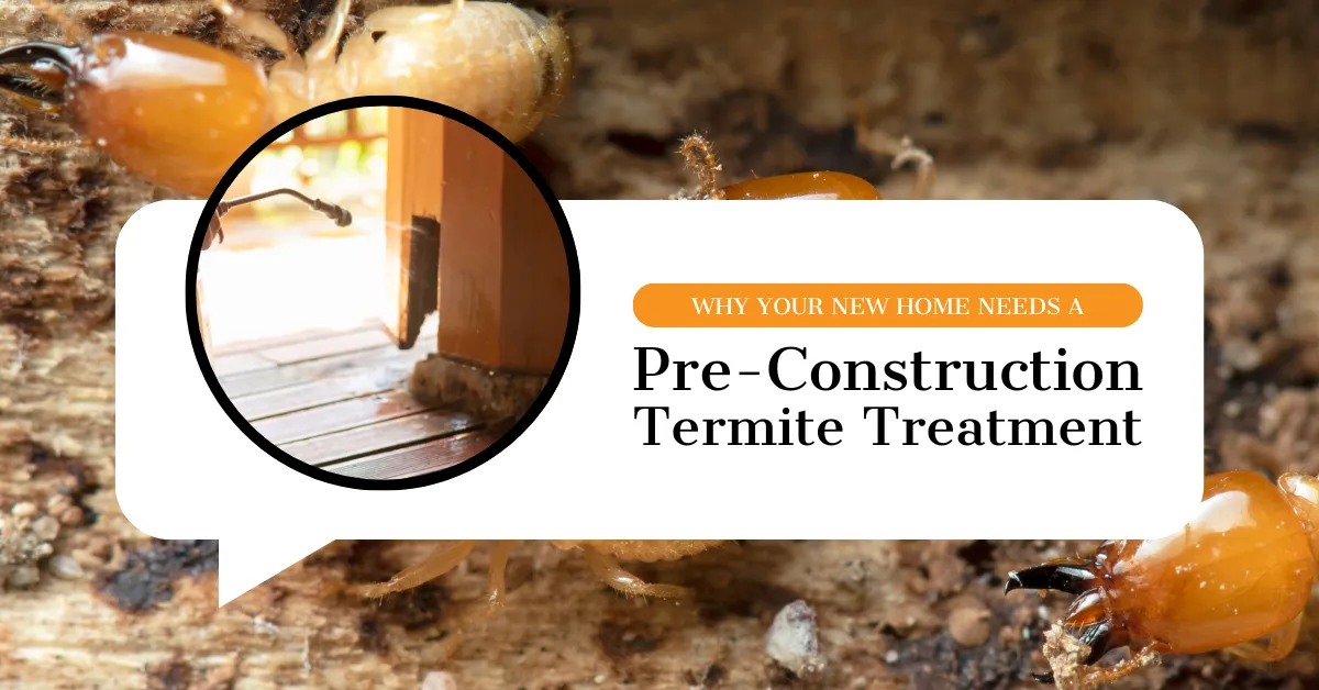 New Home Termite Treatment Guide | Kingsman Pest